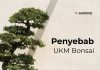 Penyebab UKM Bonsai