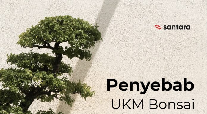 Penyebab UKM Bonsai