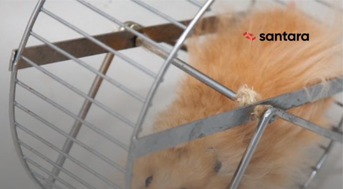 Strategi Finansial Untuk Keluar Dari Rat Race